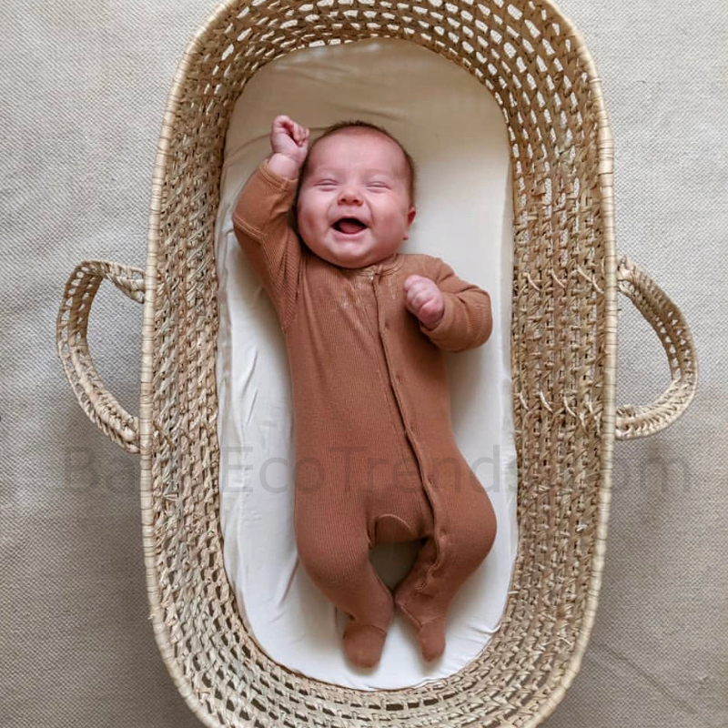 Palm leaf best sale moses basket